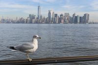 3. Tag - New York (12) &ndash; &copy; Franziska Barthel (Eberhardt TRAVEL)