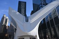 4. Tag - New York - Oculus (4) &ndash; &copy; Franziska Barthel (Eberhardt TRAVEL)