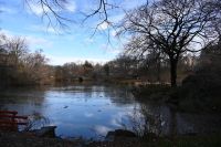 6. Tag - New York - Central Park (1) &ndash; &copy; Franziska Barthel (Eberhardt TRAVEL)