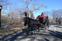 6. Tag - New York - Central Park (17) &ndash; &copy; Franziska Barthel (Eberhardt TRAVEL)