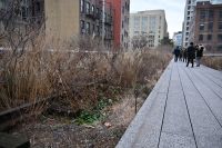7. Tag - New York - High Line (1) &ndash; &copy; Franziska Barthel (Eberhardt TRAVEL)