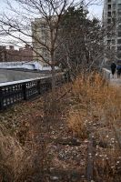 7. Tag - New York - High Line (2) &ndash; &copy; Franziska Barthel (Eberhardt TRAVEL)