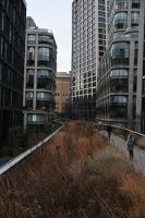 7. Tag - New York - High Line (5) &ndash; &copy; Franziska Barthel (Eberhardt TRAVEL)