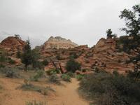 Zion Nationalpark &ndash; &copy; Anna Stiebing (Eberhardt TRAVEL)