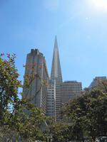 Transamerika Pyramide &ndash; &copy; Anna Stiebing (Eberhardt TRAVEL)