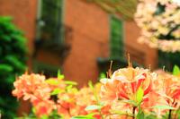 Beacon Hill &ndash; &copy; Denise Hartmann (Eberhardt TRAVEL)