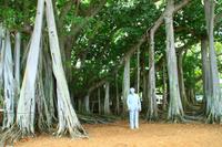 Thomas Alva Edison &ndash; &copy; Denise Hartmann (Eberhardt TRAVEL)