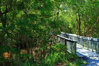 Ding Darling Park &ndash; &copy; Denise Hartmann (Eberhardt TRAVEL)