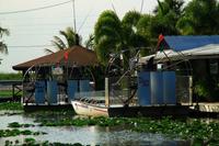in den Everglades &ndash; &copy; Denise Hartmann (Eberhardt TRAVEL)