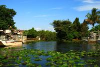in den Everglades &ndash; &copy; Denise Hartmann (Eberhardt TRAVEL)