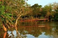 in den Everglades &ndash; &copy; Denise Hartmann (Eberhardt TRAVEL)