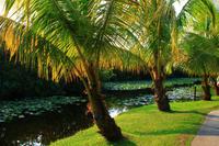in den Everglades &ndash; &copy; Denise Hartmann (Eberhardt TRAVEL)
