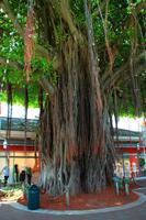 Bayside Miami &ndash; &copy; Denise Hartmann (Eberhardt TRAVEL)