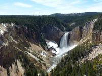 Lower Falls Yellowstone River &ndash; &copy; René Wächtler (Eberhardt TRAVEL)