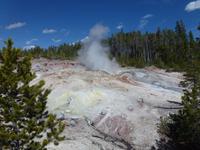 Norris Geyser Basin &ndash; &copy; René Wächtler (Eberhardt TRAVEL)