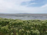 Great Salt Lake &ndash; &copy; René Wächtler (Eberhardt TRAVEL)