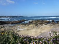 17-Mile-Drive &ndash; &copy; René Wächtler (Eberhardt TRAVEL)