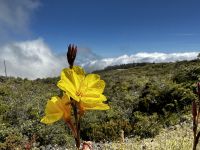 &copy; Dennis Teichmann (Eberhardt TRAVEL)