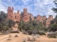 Zion Nationalpark  &ndash; &copy; Mareike Schmidt (Eberhardt TRAVEL)