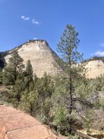 Zion Nationalpark  &ndash; &copy; Mareike Schmidt (Eberhardt TRAVEL)