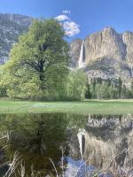 Yosemite Nationalpark  &ndash; &copy; Mareike Schmidt (Eberhardt TRAVEL)