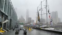 Städtereise New York - Stadtrundfahrt - am East River &ndash; &copy; Franziska Bergmann (Eberhardt TRAVEL)