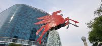14 Pegasus &ndash; &copy; Susanne Schirmann (Eberhardt TRAVEL)