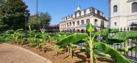 178 Jackson Square &ndash; &copy; Susanne Schirmann (Eberhardt TRAVEL)