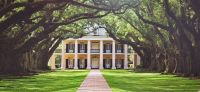 199 Oak Alley &ndash; &copy; Susanne Schirmann (Eberhardt TRAVEL)