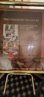 270 Entenmarsch im Peabody Hotel &ndash; &copy; Susanne Schirmann (Eberhardt TRAVEL)