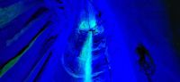 328 Ruby Falls &ndash; &copy; Susanne Schirmann (Eberhardt TRAVEL)