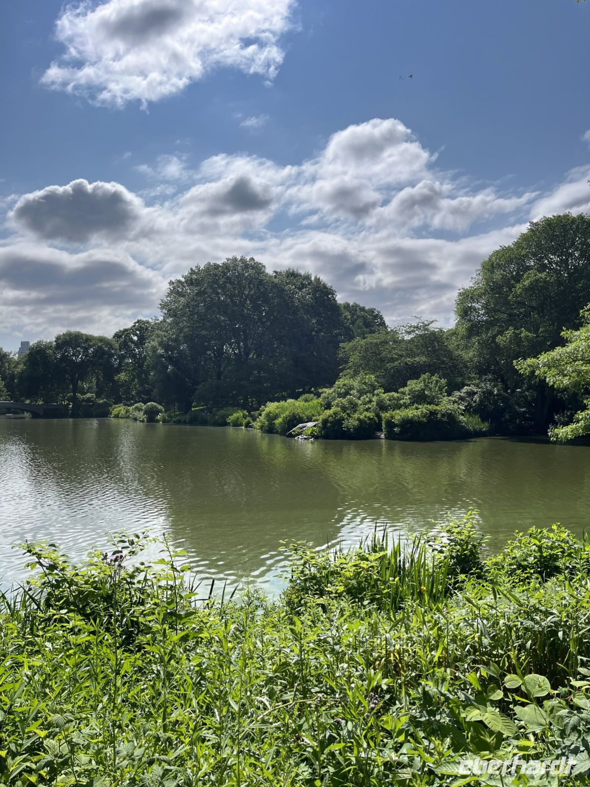 Central Park &ndash; &copy; Madlena Voigt (Eberhardt TRAVEL)