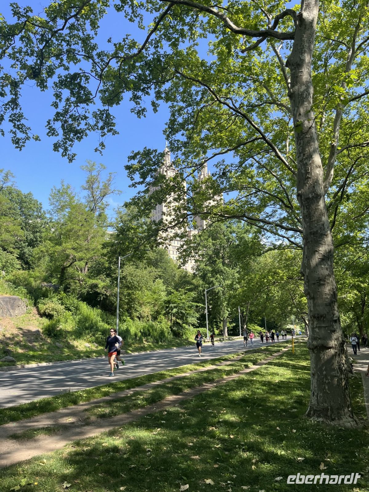Central Park &ndash; &copy; Madlena Voigt (Eberhardt TRAVEL)