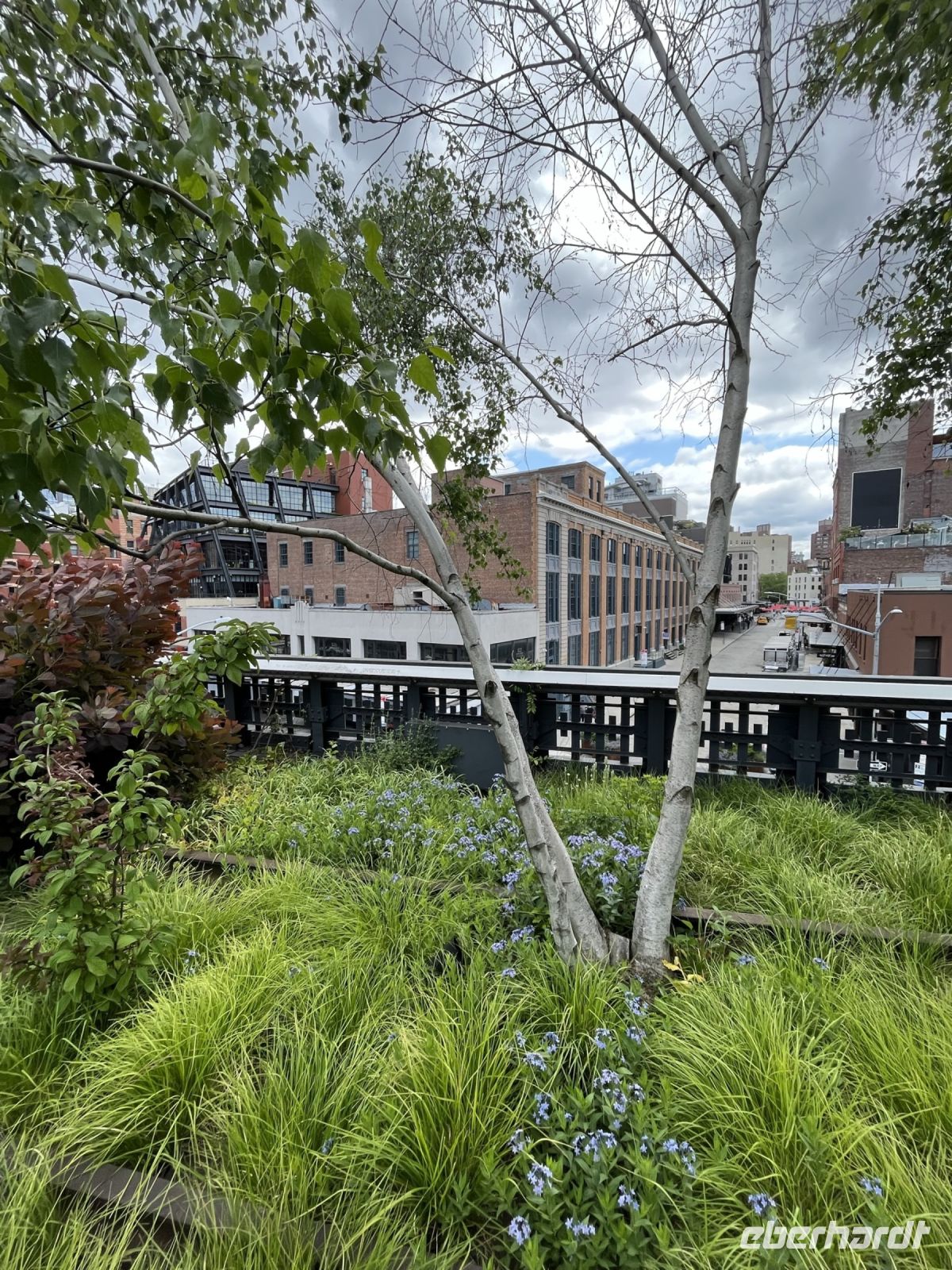 High Line Park &ndash; &copy; Madlena Voigt (Eberhardt TRAVEL)