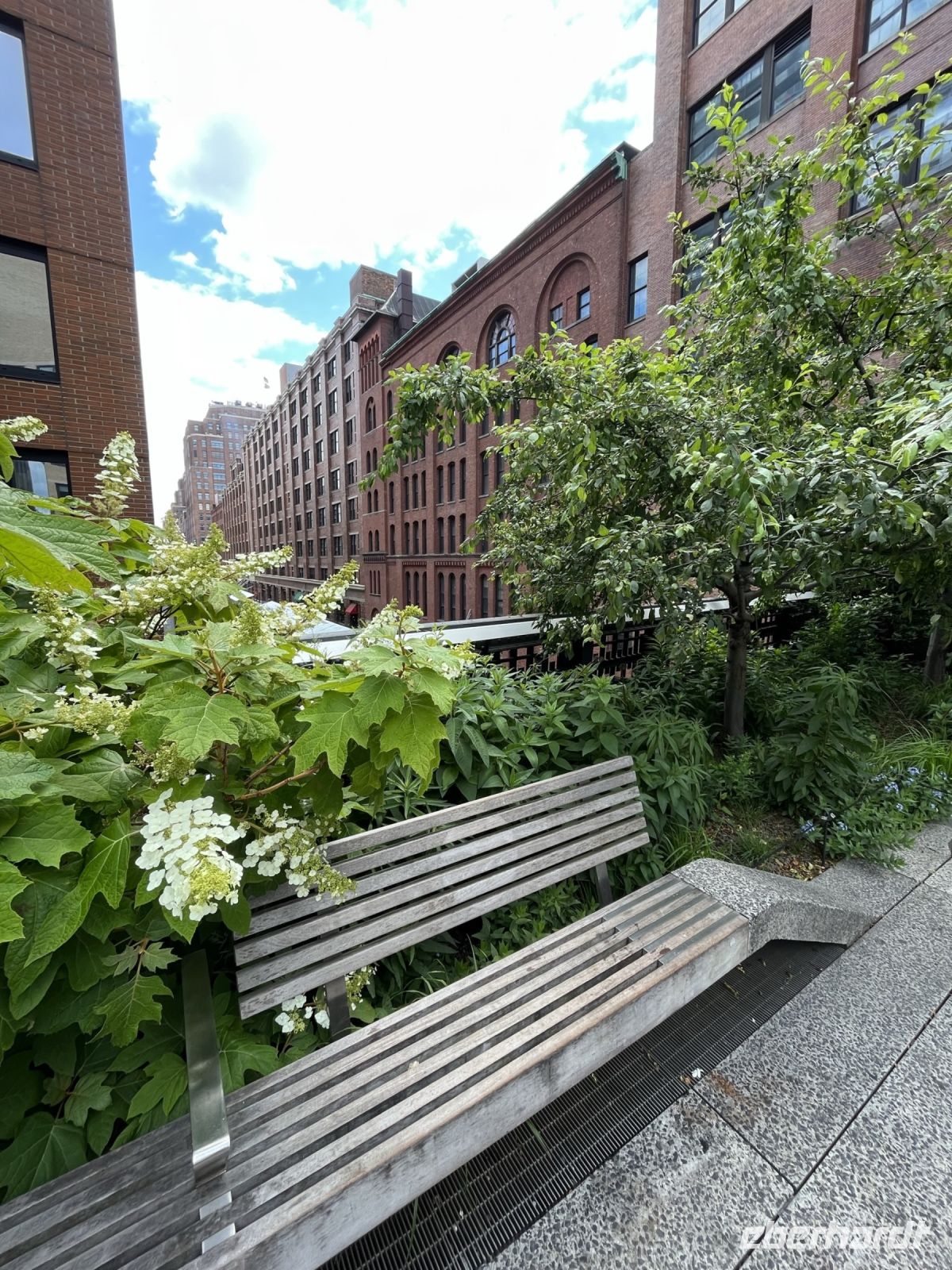 High Line Park &ndash; &copy; Madlena Voigt (Eberhardt TRAVEL)