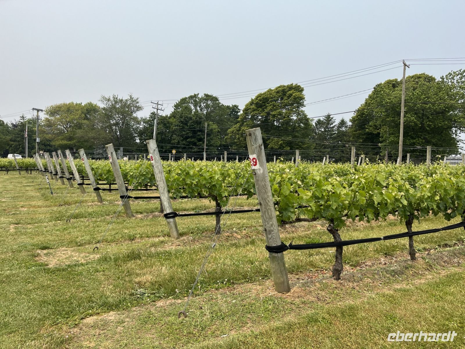 Weingut Raphael &ndash; &copy; Madlena Voigt (Eberhardt TRAVEL)