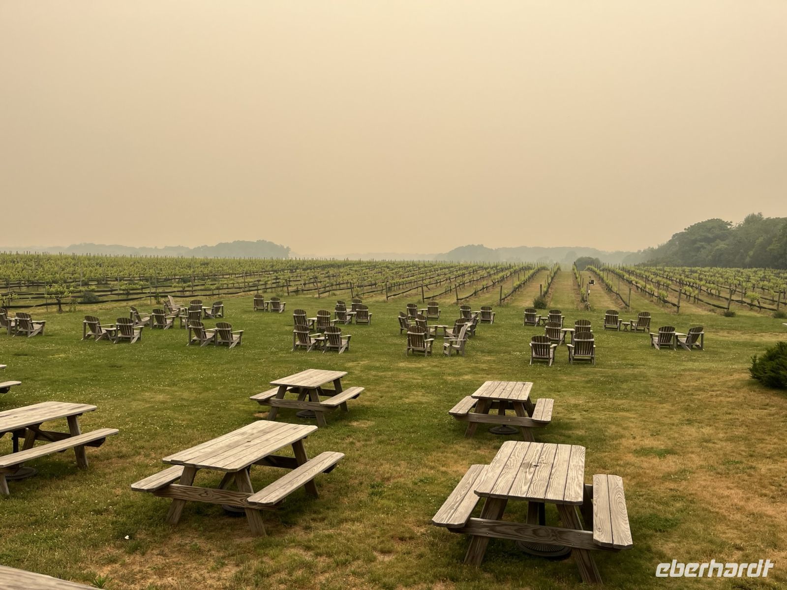 Weingut Paumanok &ndash; &copy; Madlena Voigt (Eberhardt TRAVEL)