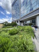 High Line Park &ndash; &copy; Madlena Voigt (Eberhardt TRAVEL)