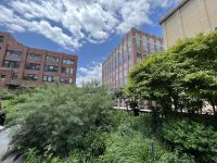 High Line Park &ndash; &copy; Madlena Voigt (Eberhardt TRAVEL)