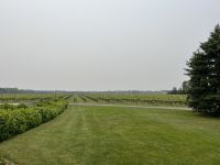 Weingut Raphael &ndash; &copy; Madlena Voigt (Eberhardt TRAVEL)