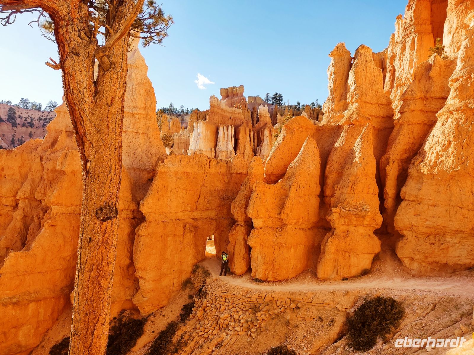 2. Bryce Canyon National Park (5) &ndash; &copy; Florian Härtl (Eberhardt TRAVEL)