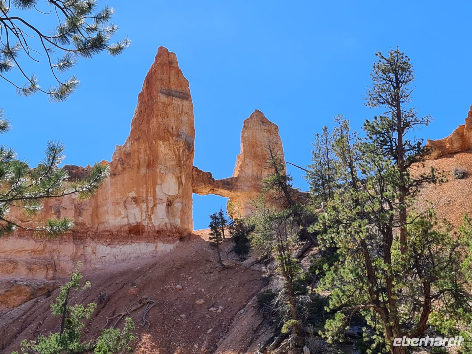 2. Bryce Canyon (8) &ndash; &copy; Florian Härtl (Eberhardt TRAVEL)