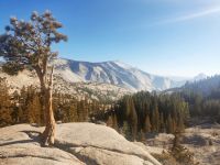 20. Yosemite National Park (8) &ndash; &copy; Florian Härtl (Eberhardt TRAVEL)