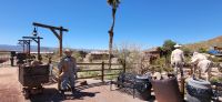 38 Calico &ndash; &copy; Susanne Schirmann (Eberhardt TRAVEL)