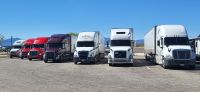 46 viele Trucks-eine Augenweide &ndash; &copy; Susanne Schirmann (Eberhardt TRAVEL)