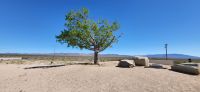 48 in der Mojave Wüste &ndash; &copy; Susanne Schirmann (Eberhardt TRAVEL)