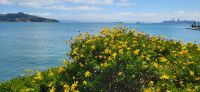 189 Blick auf San Francisco &ndash; &copy; Susanne Schirmann (Eberhardt TRAVEL)