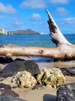 025 - Hawaii - Inselrundfahrt Oahu &ndash; &copy; Jens Petzoldt (Eberhardt TRAVEL)