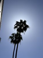 Stadtrundfahrt Los Angeles &ndash; &copy; Madlena Voigt (Eberhardt TRAVEL)