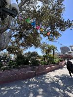 Stadtrundfahrt Los Angeles &ndash; &copy; Madlena Voigt (Eberhardt TRAVEL)